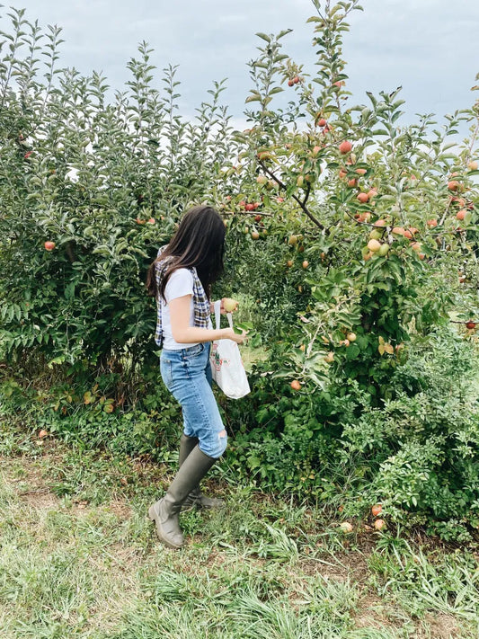 What To Wear Apple Picking