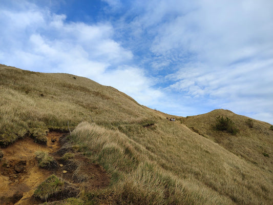 What Shoes To Wear In Mt Pulag