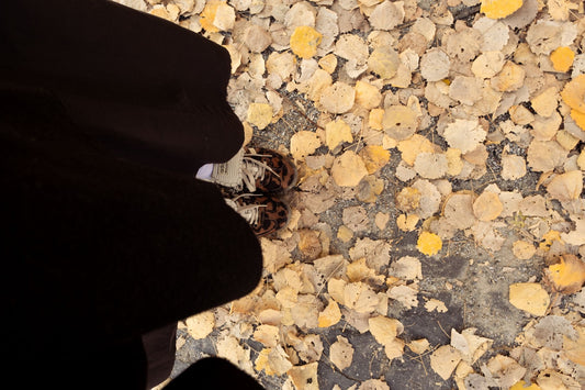 What To Wear With Alexander Mcqueen Shoes
