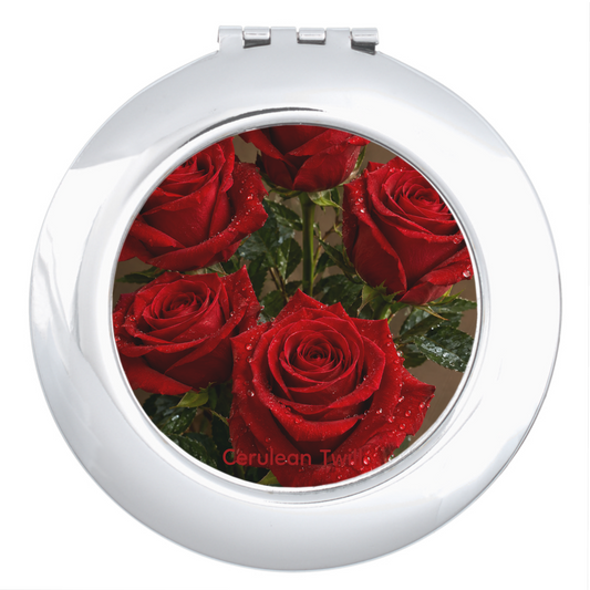 Compact Mirror